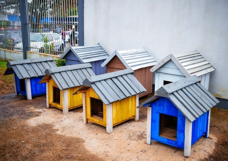 casinhas de cachorro coloridas