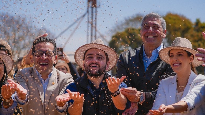 Pessoas jogando grãos de trigo para cima