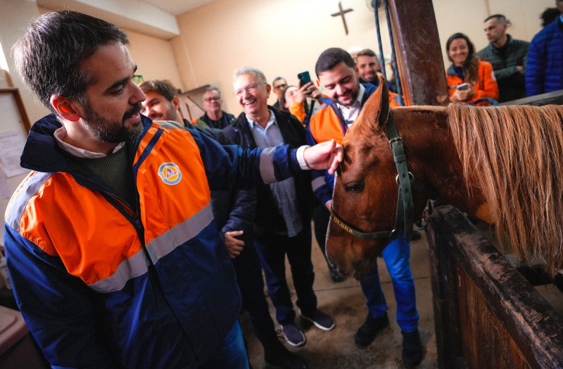 Governador Eduardo Leite, vice-governador Gabriel Souza, e outras pessoas visitam o Cavalo Caramelo no Hospital Veterinário da Ulbra